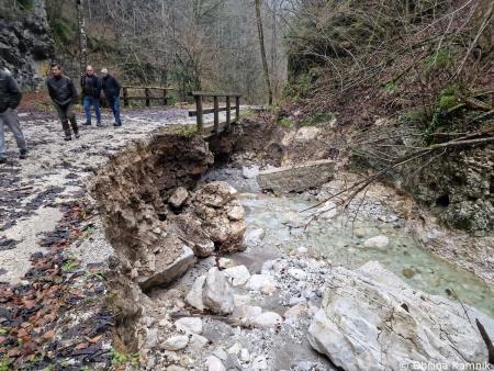 Terenski ogledi poškodovanih gozdnih cest (10)